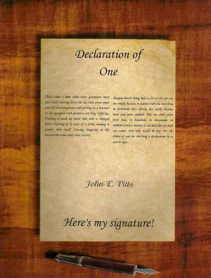 Cover of the book Declaration of One "Here's My Signature!" by Mark E. Meaney, Ph.D.