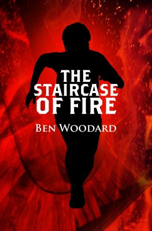 Cover of the book The Staircase of Fire by RK Wheeler