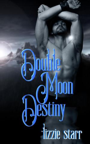 bigCover of the book Double Moon Destiny by 