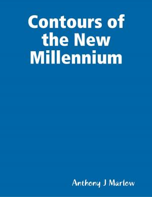 Cover of the book Contours of the New Millennium by Massimiliano Ippolito