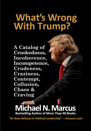 Cover of the book What's Wrong With Trump? by Brian R Roberts