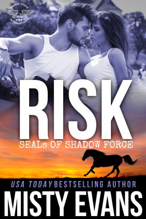 Cover of the book Risk by Misty Evans