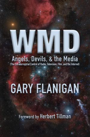 Cover of the book WMD: Angels, Devils, & The Media by William H. Cox