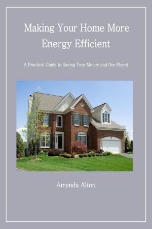 Cover of Making Your Home More Energy Efficient: A Practical Guide to Saving Your Money and Our Planet