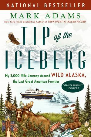 Cover of the book Tip of the Iceberg by Maggy van Eijk