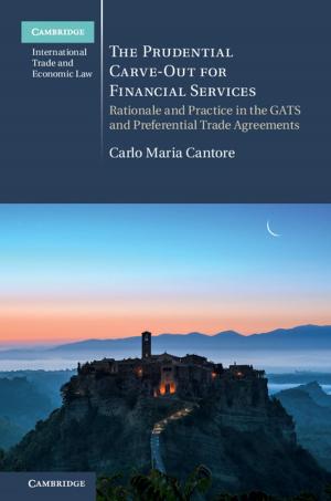 Cover of the book The Prudential Carve-Out for Financial Services by Shaun Lovejoy, Daniel Schertzer