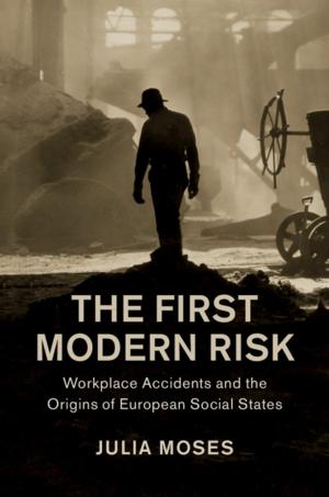 Cover of the book The First Modern Risk by Robert A. Cummins
