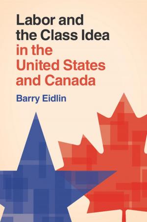 Cover of the book Labor and the Class Idea in the United States and Canada by H.-S. Philip Wong, Deji Akinwande