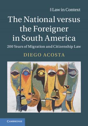 Cover of the book The National versus the Foreigner in South America by Jean-Paul C. Montagnier