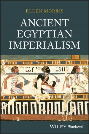 Cover of the book Ancient Egyptian Imperialism by Luigi Nason, Fernanda Vaselli, Giuseppe Laras