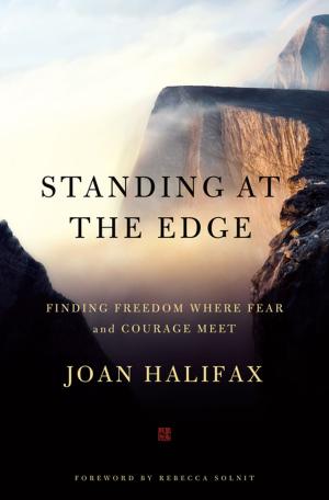 Cover of the book Standing at the Edge by Brad Meltzer, Josh Mensch