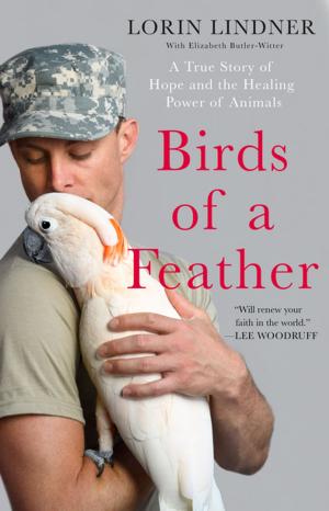 Cover of the book Birds of a Feather by Robert Emmet Hernan, Graham Nash
