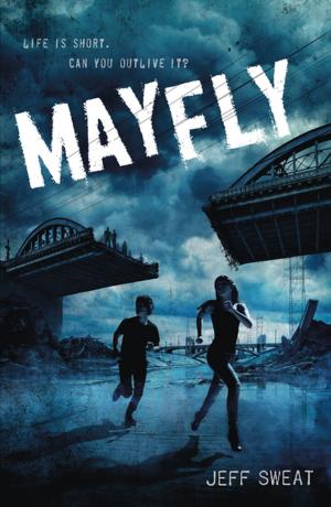 Cover of the book Mayfly by James Preller