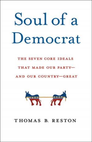 Cover of the book Soul of a Democrat by Mitchell Chefitz