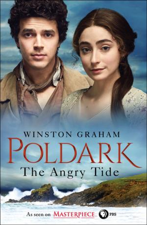Book cover of The Angry Tide