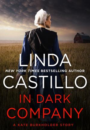 Cover of the book In Dark Company by Lindsey Davis