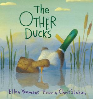 Cover of the book The Other Ducks by Cecil Castellucci