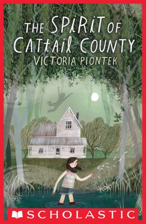 Cover of the book The Spirit of Cattail County by Jane B. Mason
