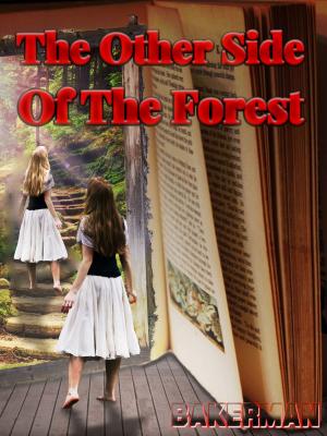 Book cover of The Other Side of the Forest