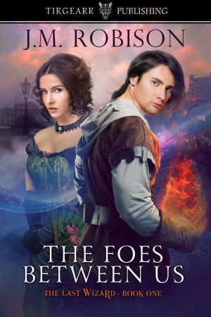 Cover of the book The Foes Between Us by K Caffee