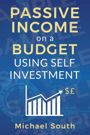 Cover of the book Passive Income On A Budget Using Self Investment by Robinson Frances