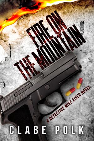 Cover of the book Fire on the Mountain by Nick Oldham