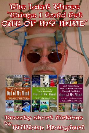 Cover of the book The Last Three 'Things I Could Get Out of My Mind' by William Mangieri