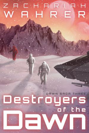 Cover of the book Destroyers of the Dawn by D.N. Erikson