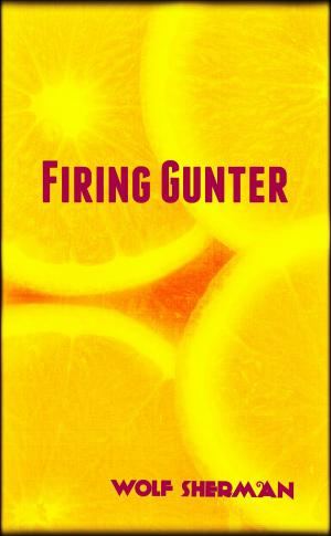 Cover of the book Firing Gunter by Jami Alden