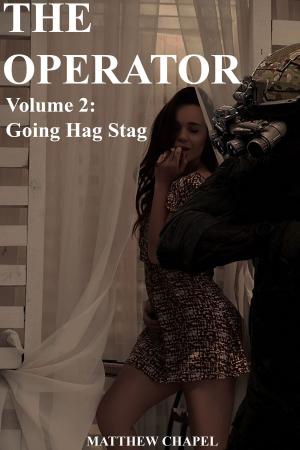 bigCover of the book Going Hag Stag by 