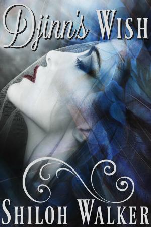 Cover of the book Djinn's Wish by Aimee Laine