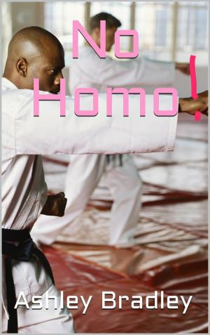 Cover of the book No Homo! by Ashley Bradley