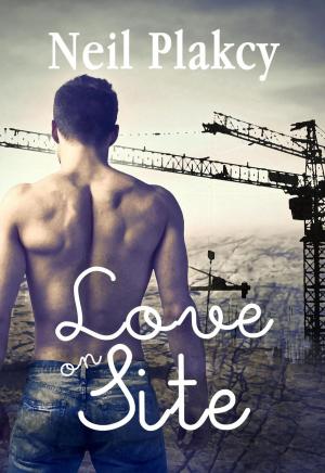 bigCover of the book Love on Site by 