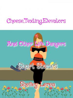 Cover of the book Cheese, Texting, Elevators, and Other Life Dangers by N.G. Dian