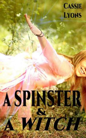 Cover of the book A Spinster & A Witch by Aimee Laine