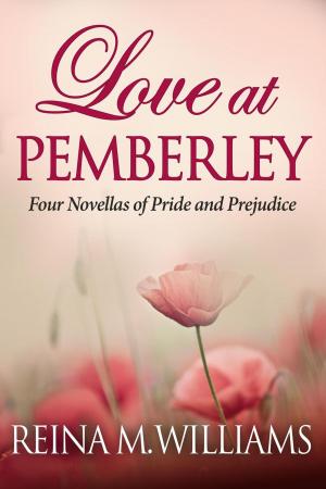 bigCover of the book Love at Pemberley by 