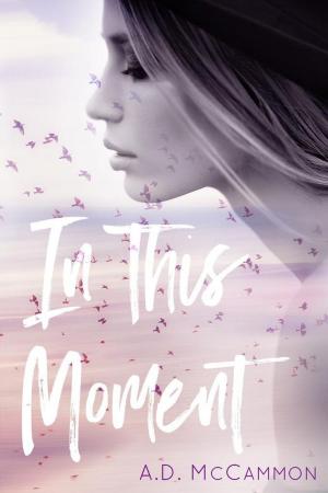 Book cover of In This Moment