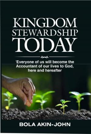 Cover of the book Kingdom Stewardship Today by Terri-Ann Barrett