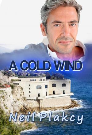 Cover of the book A Cold Wind by Neil Plakcy