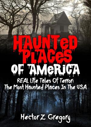 Book cover of Haunted Places Of America: REAL Life Tales Of Terror: The Most Haunted Places In The USA