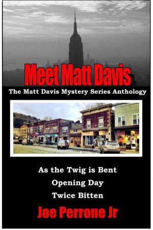 Cover of Meet Matt Davis: The Matt Davis Mystery Series Anthology