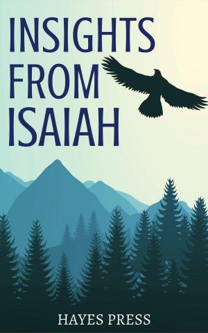 Cover of the book Insights from Isaiah by Pablo Modernell Bentancor