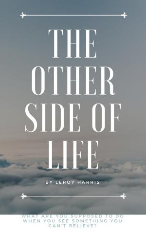 bigCover of the book The Other Side of Life by 