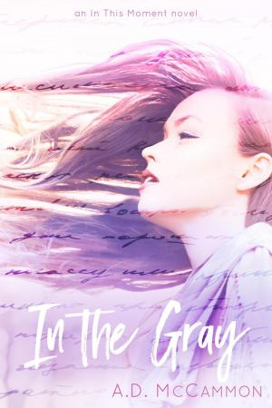 Cover of the book In the Gray by Felicia Denise