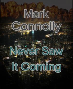 Cover of Never Saw It Coming