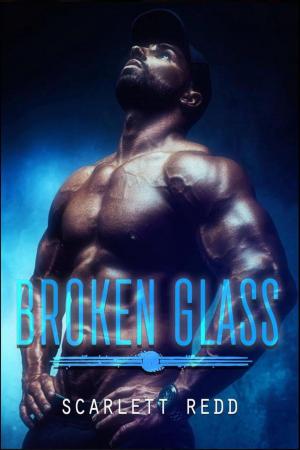 Cover of the book Broken Glass by Darcy Maguire