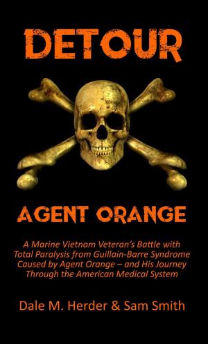 Book cover of Detour: Agent Orange