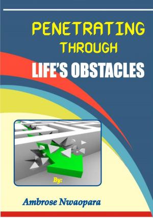 Cover of the book Penetrating Through Life's Obstacles by Aingeal Rose O'Grady, Ahonu