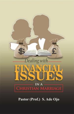 Cover of the book Dealing with Financial Issues In a Christian Marriage by Moses N Ikiugu, Nick Pollard