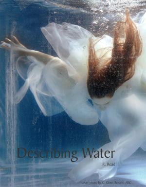 Cover of the book Describing Water by Giuseppe Amico